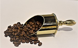 ��� ��������
