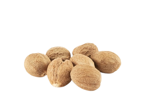 ���� ����� ���